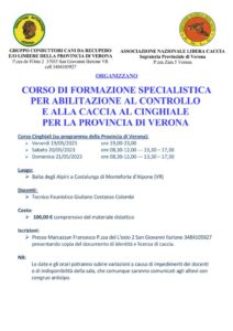 ANLC Controllo e caccia al cinghiale VR