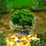 Salvaguardia ambiente