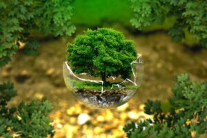 Salvaguardia ambiente