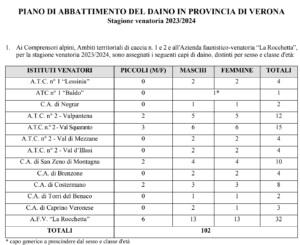 Piano daino 2023-2024