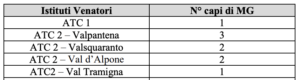 Piano capriolo giovane 2024-2025