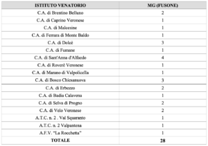 Piano cervo fusone 2024-2025