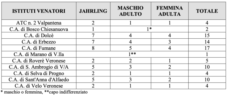Piano contenimento camoscio 24-25