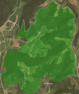 Val d'Illasi A