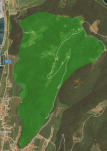 Val d'Illasi B