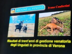 Serata 24 marzo 25 1