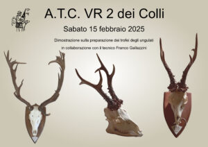ATC VR 2 - Dimostrazione preparazione trofei