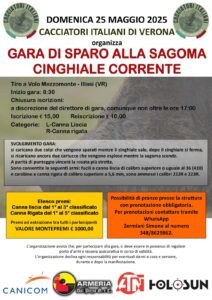 Gara di Sparo alla sagoma cinghiale corrente