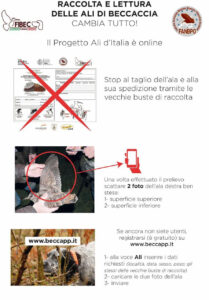 Novità raccolta ali 2026 Fibec