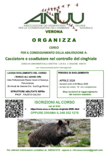 Anuu - corso cinghiale 2026