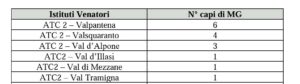 ATC VR2 piano capriolo giovane 2026