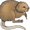 Nutria icona